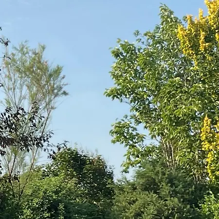 Auszeit Bad Neustadt an der Saale