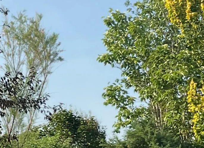 Auszeit Bad Neustadt an der Saale